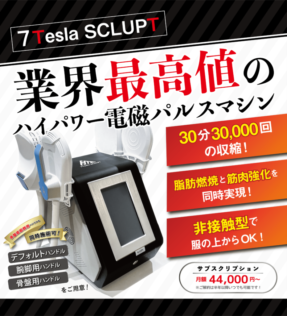 電磁パルス テスラ